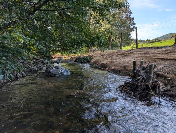 PXL_20251007_095622161.MP