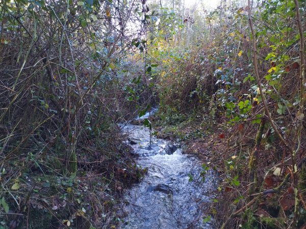 IMG_20251104_093342182