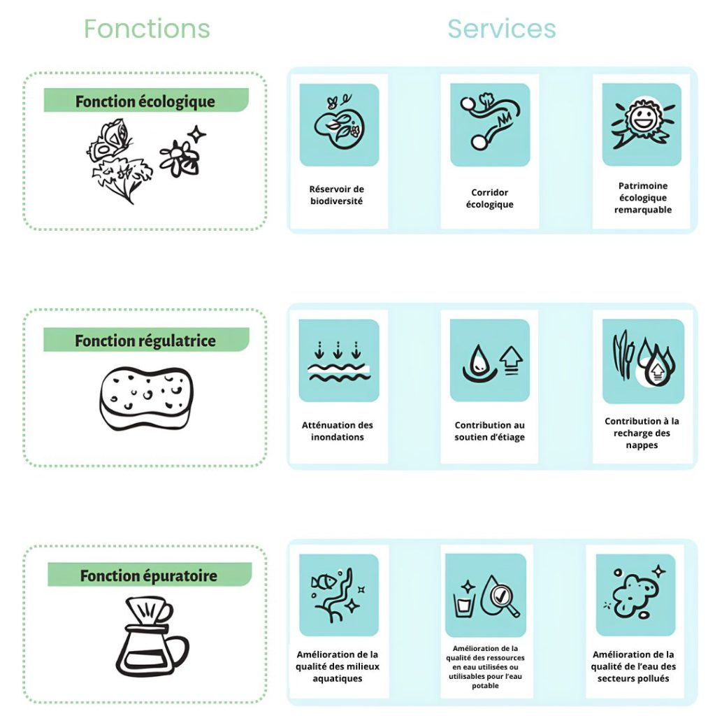 Fonction écologique